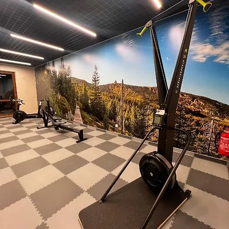 Апартаменты Apart-invest Park C14 Dostep Do Strefy Шклярска-Поремба